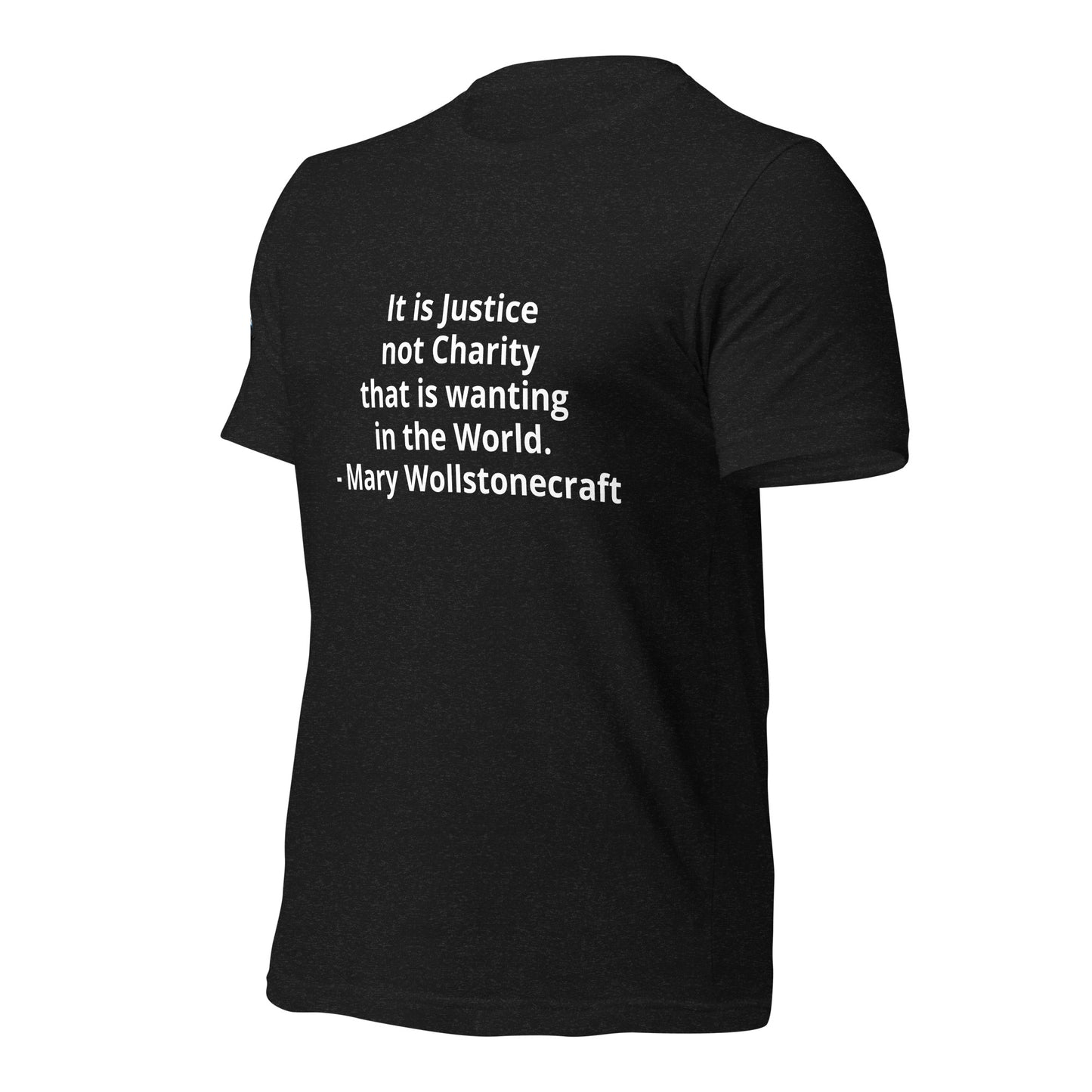 Mary Wollstonecraft Unisex t-shirt