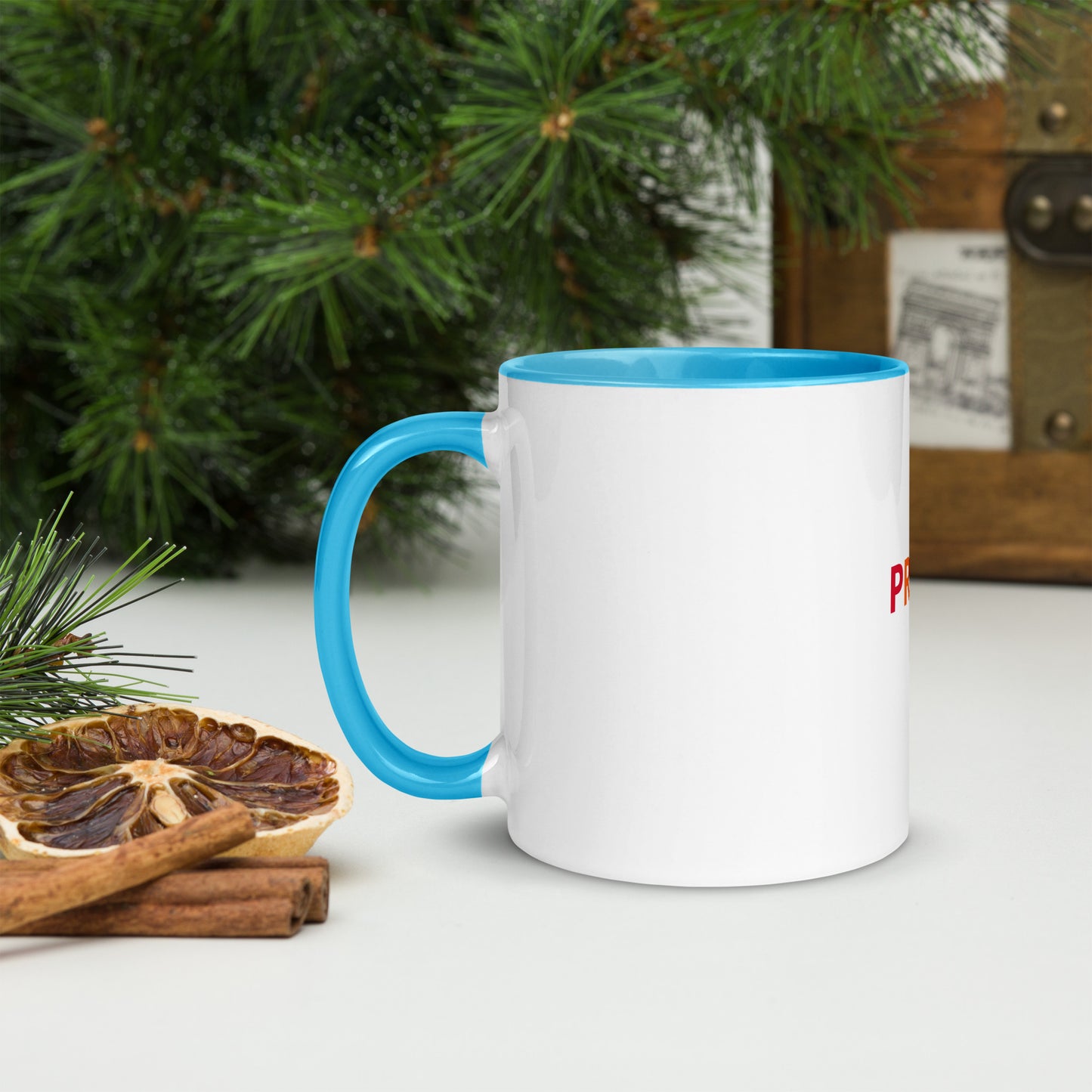 Pride Mug with Color Inside