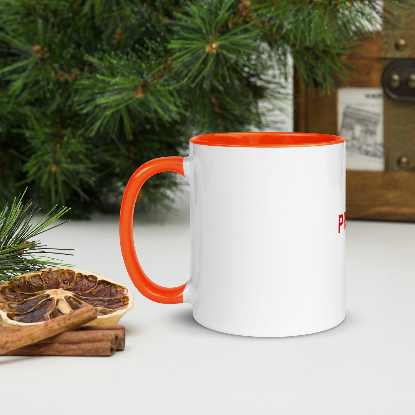 Pride Mug with Color Inside