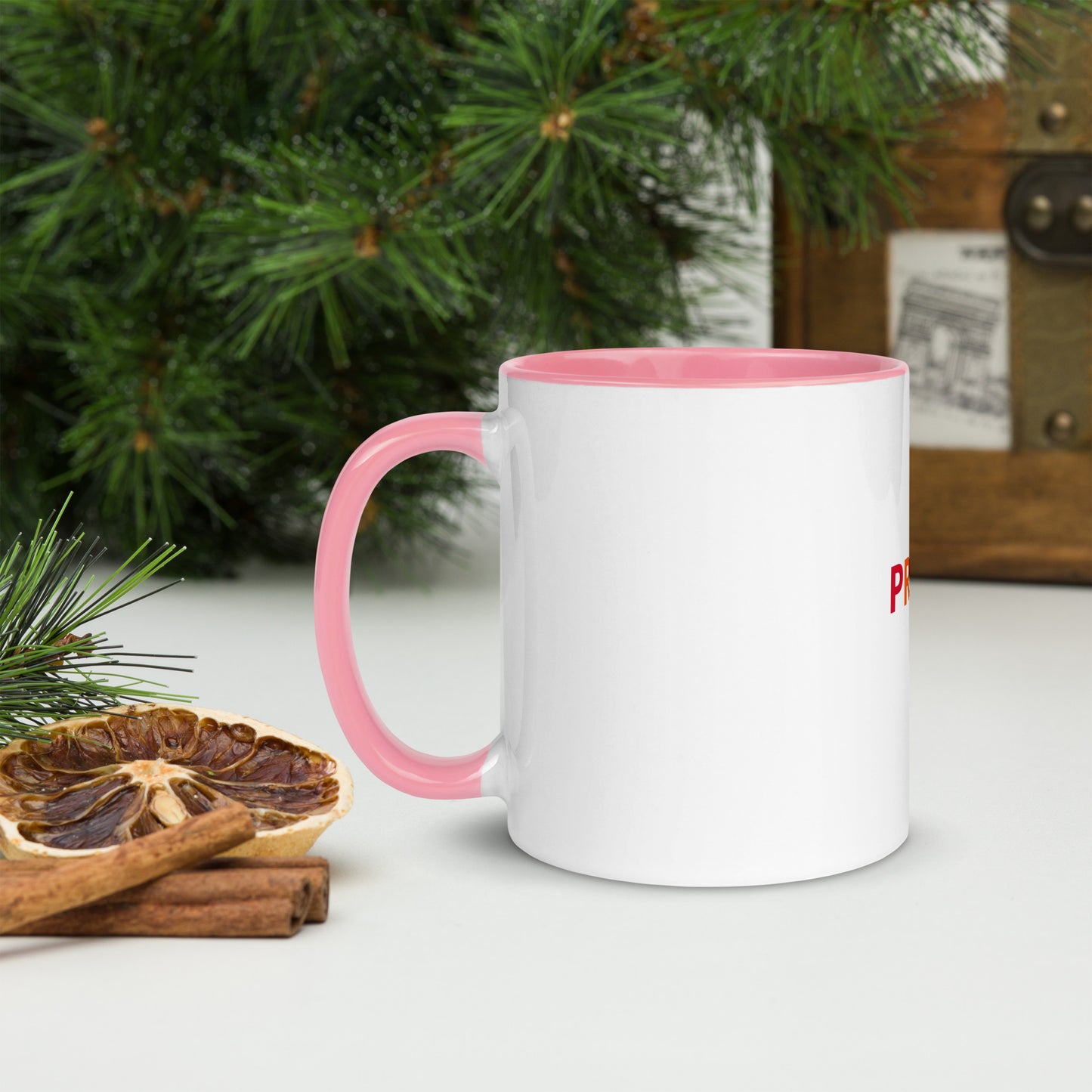 Pride Mug with Color Inside
