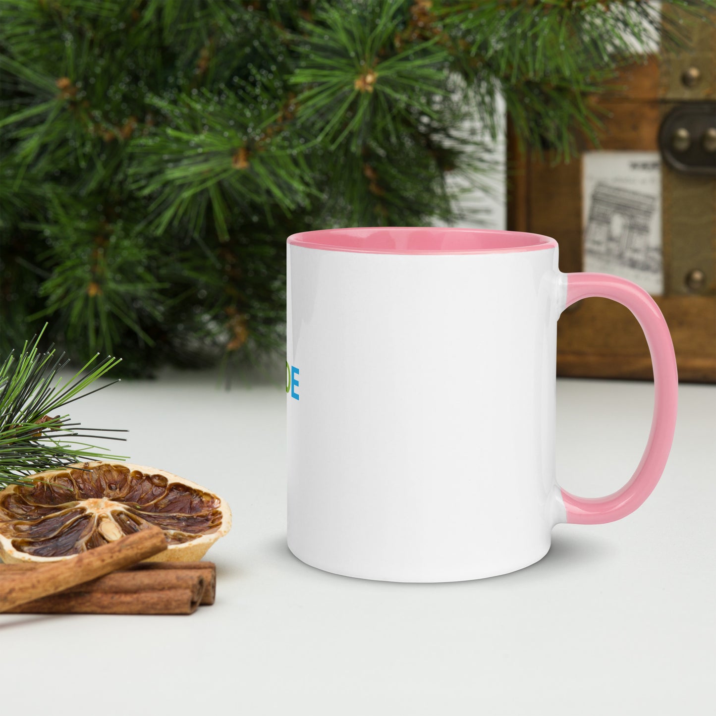 Pride Mug with Color Inside