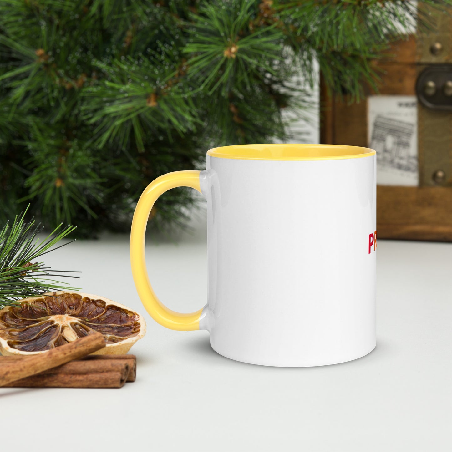 Pride Mug with Color Inside