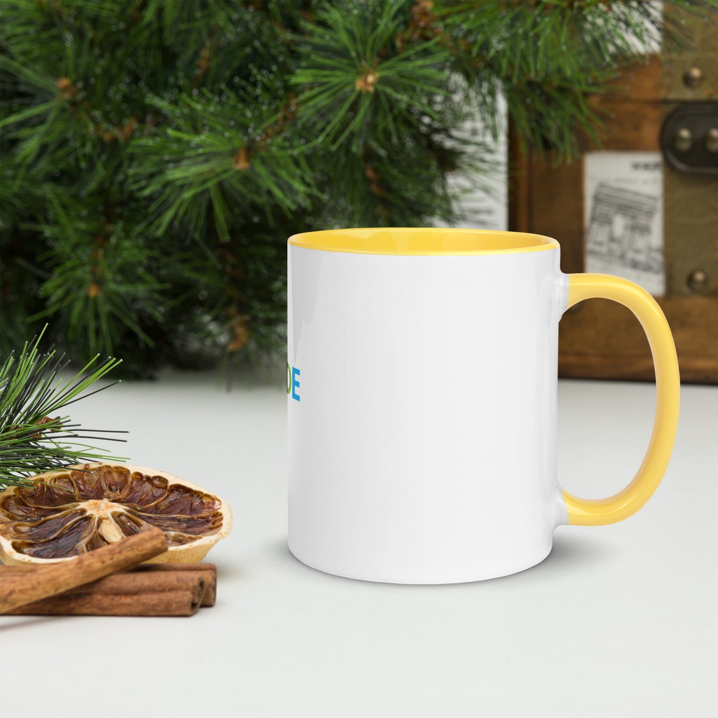 Pride Mug with Color Inside